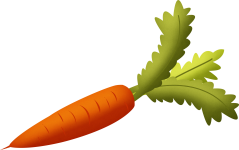 Carrot