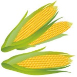 Corn