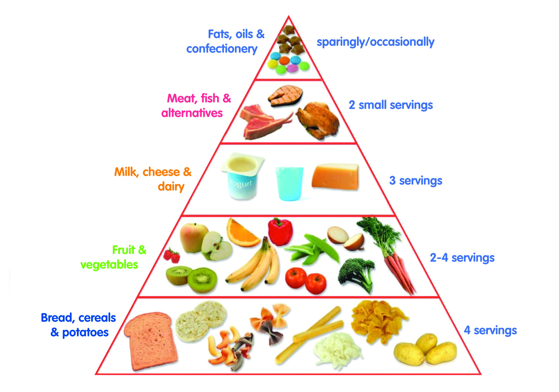 Food Pyramid